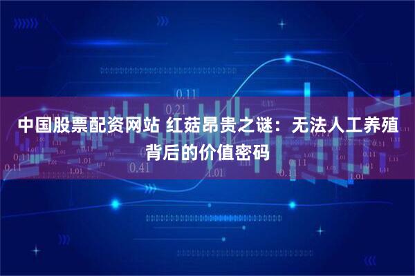 中国股票配资网站 红菇昂贵之谜：无法人工养殖背后的价值密码